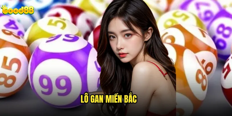 Lô gan miền Bắc